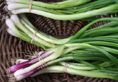 green-garlic